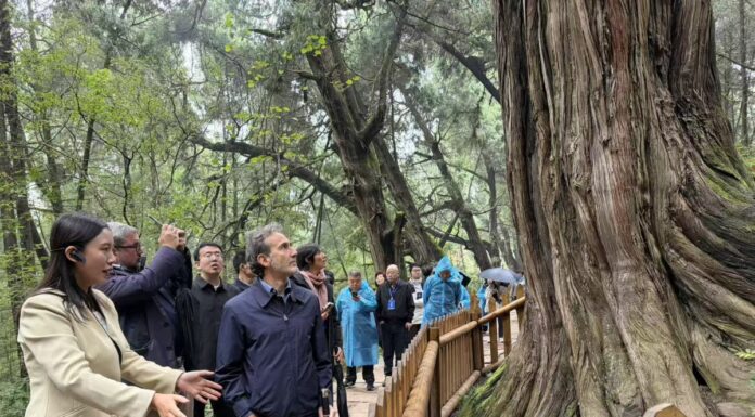 Cina-Italia: Strada per Shu e Via Appia, dialogo tra civiltà attraverso montagne e mari