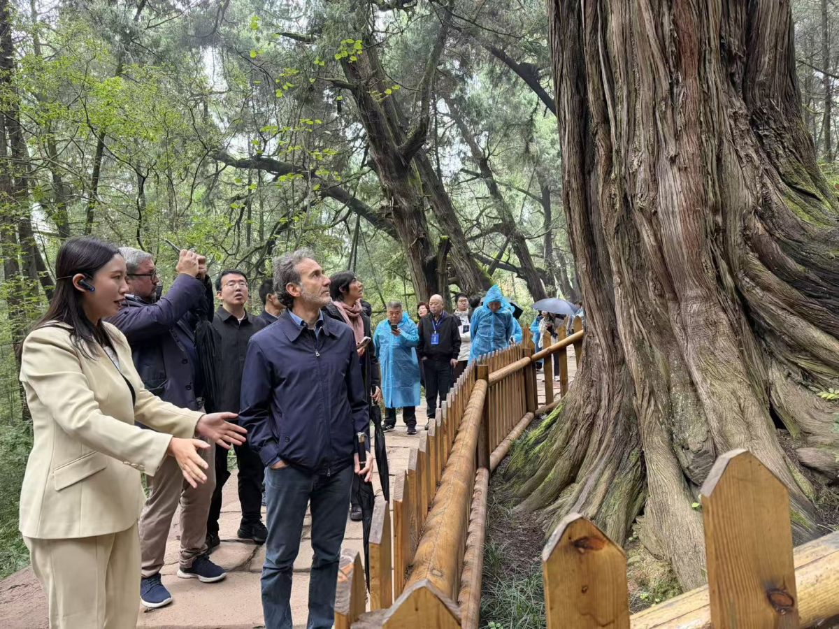 geronimo it donazione-organi-il-78-dei-clementini-ha-scelto-di-dare-il-consenso-A30621 014