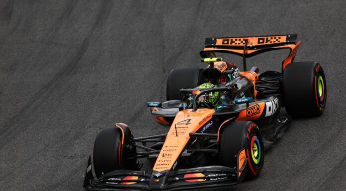 Norris parte dalla pole a San Paolo, precede Antonelli e Leclerc