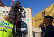 Sequestrati al porto di Gioia Tauro oltre 175 chilogrammi di cocaina