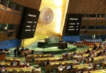 Cina: presentato a Johannesburg rapporto Xinhua su leadership globale