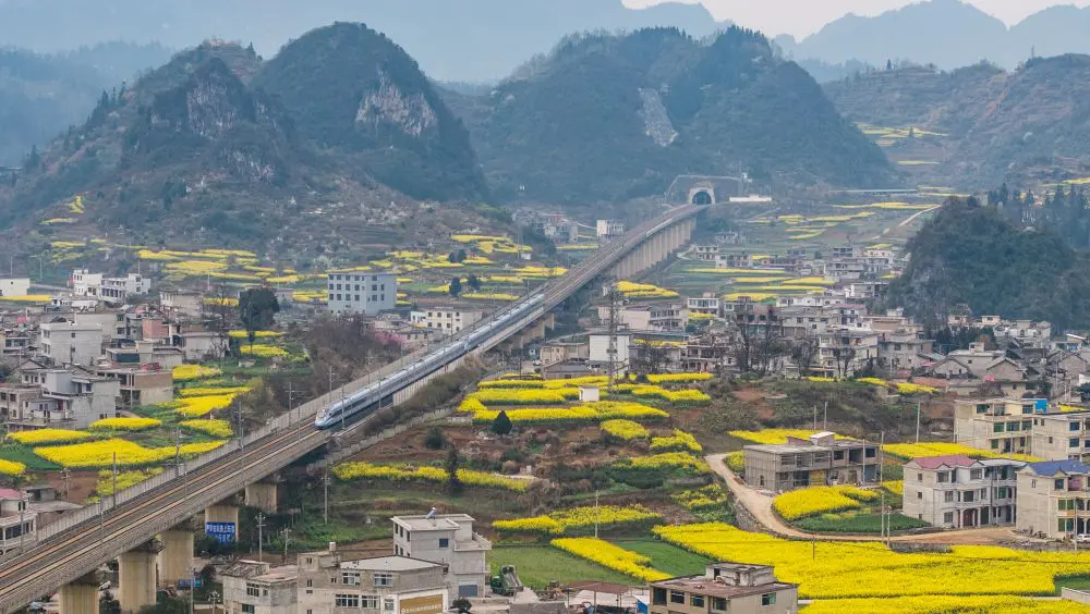 geronimo it giorgetti-e-piccioni-nel-cda-di-visit-romagna-A7584 010
