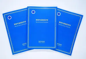 geronimo it continua-ladesertificazione-bancaria-in-romagnain-5-anni-chiusi-162-sportelli-bancari-in-romagna-A43058 011