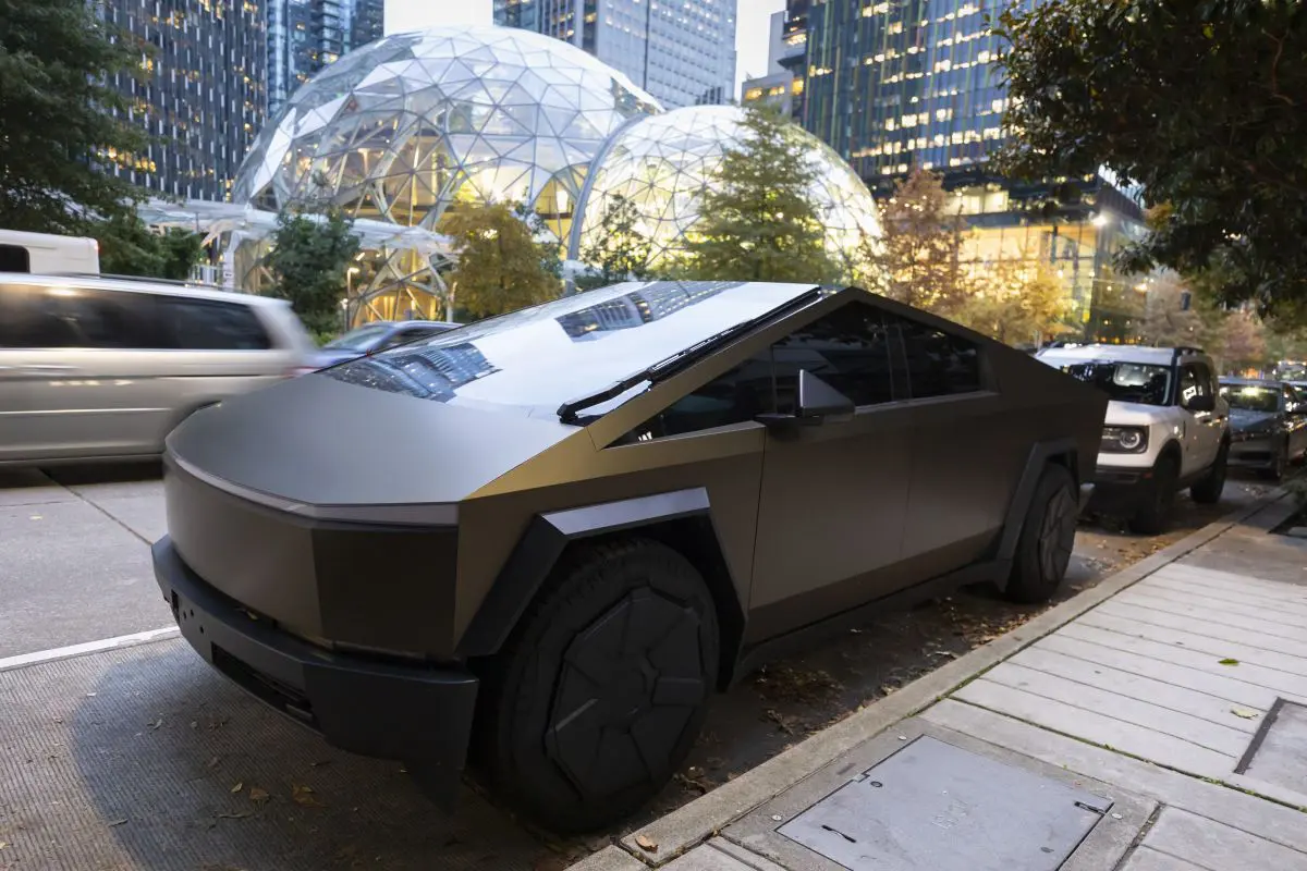 geronimo it i-consigli-del-dottor-vergoni-le-10-domande-da-farsi-per-una-scelta-responsabile-del-nostro-cane-A67533 006