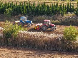 Cina: completato 90% del raccolto e avviata semina invernale (2)