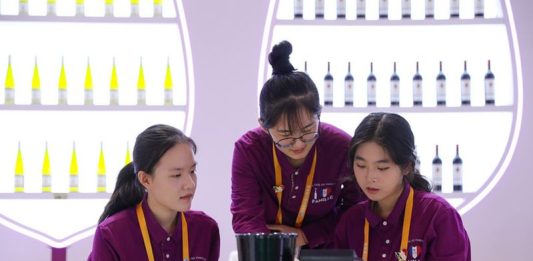 Cina: Shanghai si prepara ad accogliere ottava edizione CIIE (4)