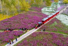 Cina: i paesaggi di inizio inverno ripresi dall’alto (1)