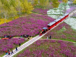 Cina: i paesaggi di inizio inverno ripresi dall’alto (1)