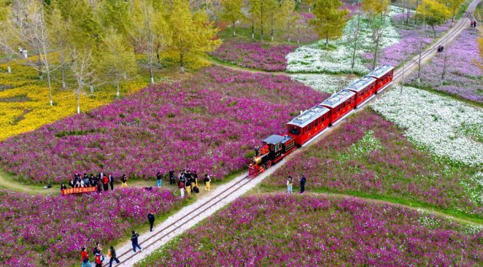 Cina: i paesaggi di inizio inverno ripresi dall’alto (1)