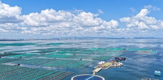 Cina: Shandong, costruite fattorie marine per arricchire il “deposito alimentare blu” (1)