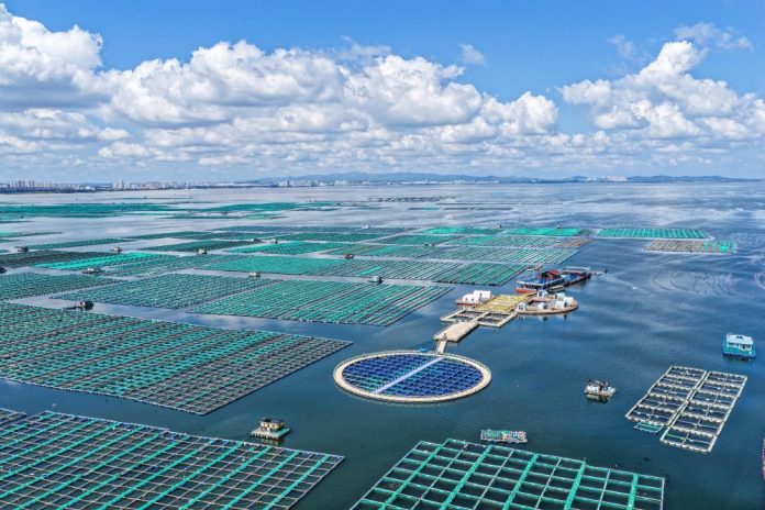 #CHINA-SHANDONG-FISHERY-MARINE FARMS (CN)