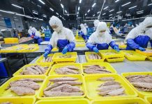 Cina: Shandong, costruite fattorie marine per arricchire il “deposito alimentare blu” (3)