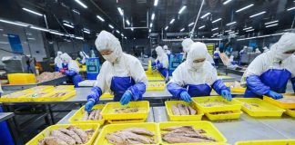 Cina: Shandong, costruite fattorie marine per arricchire il “deposito alimentare blu” (3)