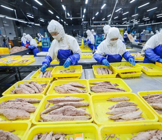 Cina: Shandong, costruite fattorie marine per arricchire il “deposito alimentare blu” (3)