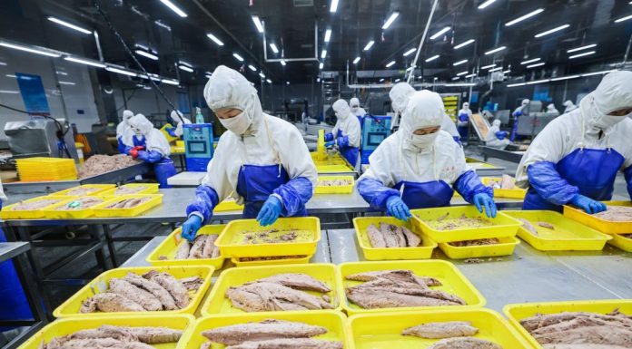 Cina: Shandong, costruite fattorie marine per arricchire il “deposito alimentare blu” (3)