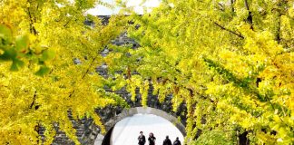 Cina: alcuni scatti del paesaggio di inizio inverno in Jiangsu (2)
