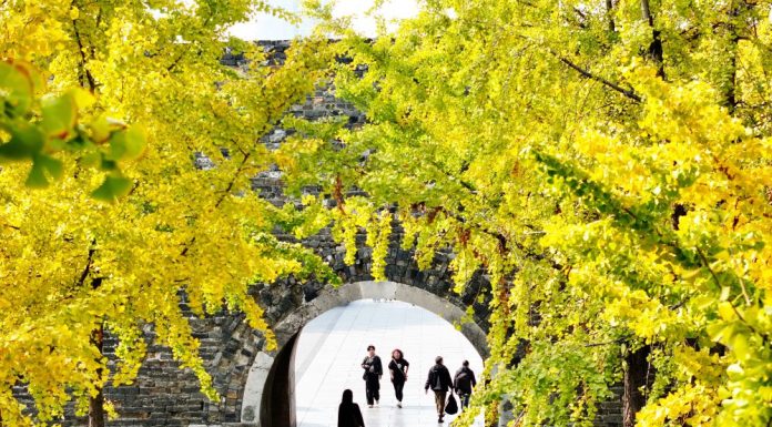 Cina: alcuni scatti del paesaggio di inizio inverno in Jiangsu (2)