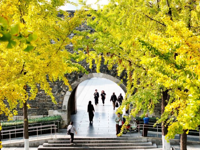 #CHINA-EARLY WINTER-SCENERY (CN)