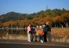 Cina: turisti ammirano i paesaggi invernali del Lago dell’Ovest a Hangzhou (3)