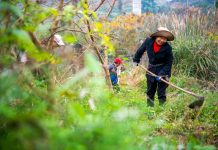 Cina: il borgo di Zhongyi cresce tra sviluppo rurale e turismo (2)