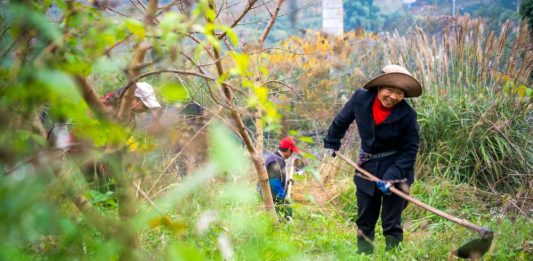 Cina: il borgo di Zhongyi cresce tra sviluppo rurale e turismo (2)
