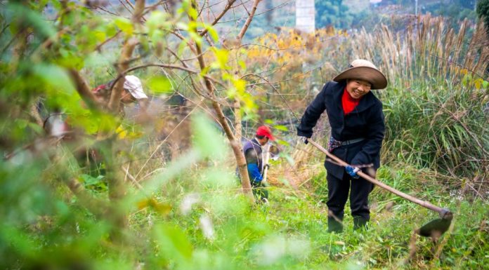 Cina: il borgo di Zhongyi cresce tra sviluppo rurale e turismo (2)