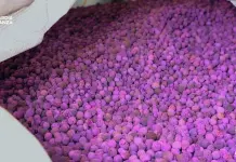 Sequestrati al porto di Genova 700kg di permanganato di potassio