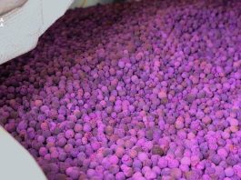 Sequestrati al porto di Genova 700kg di permanganato di potassio