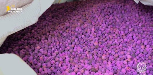 Sequestrati al porto di Genova 700kg di permanganato di potassio