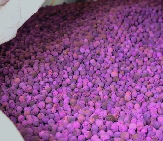 Sequestrati al porto di Genova 700kg di permanganato di potassio