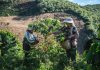Cina: iniziata nello Yunnan la raccolta delle bacche di caffè (2)