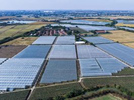 Cina: nello Zhejiang sostegno continuo alla rivitalizzazione rurale (3)