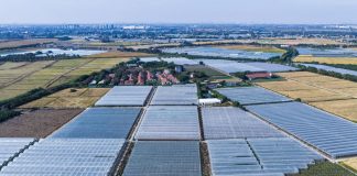 Cina: nello Zhejiang sostegno continuo alla rivitalizzazione rurale (3)