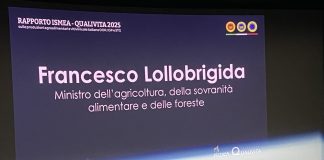 Rapporto Ismea- Qualitàvita, la dop economy raggiunge i 20,7 miliardi di valore