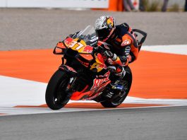 Acosta il più veloce nel venerdì di Practice della MotoGp a Valencia, Bezzecchi secondo