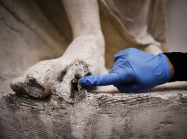 Gli studenti dell’Accademia di Brera “Ritirare emendamento su restauratori beni culturali”