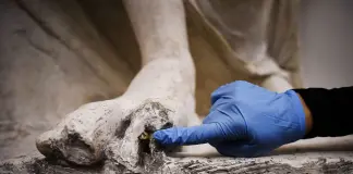 Gli studenti dell’Accademia di Brera “Ritirare emendamento su restauratori beni culturali”