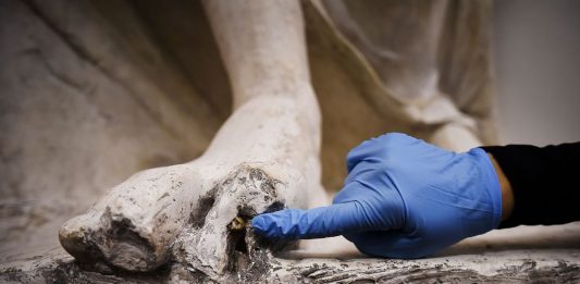 Gli studenti dell’Accademia di Brera “Ritirare emendamento su restauratori beni culturali”