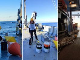 Cnr, la nave Gaia Blu alla scoperta delle montagne sottomarine del Tirreno