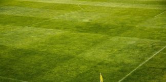 Malta, Birkirkara FC exposes elaborate international football transfer scam