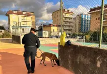 Controlli a tappeto dei Carabinieri a Catanzaro, trovata droga nascosta in un parco