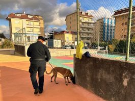 Controlli a tappeto dei Carabinieri a Catanzaro, trovata droga nascosta in un parco