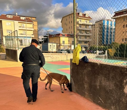 Controlli a tappeto dei Carabinieri a Catanzaro, trovata droga nascosta in un parco