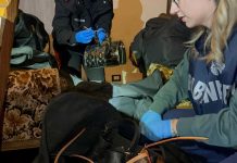 “Griffe” rubate in due colpi in boutique del lusso a Roma, i Carabinieri recuperano gran parte della refurtiva