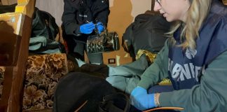 “Griffe” rubate in due colpi in boutique del lusso a Roma, i Carabinieri recuperano gran parte della refurtiva