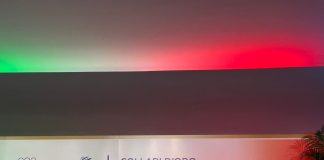 Consegnati i Collari d’Oro al Merito Sportivo 2025, Buonfiglio “Sinergia e armonia per continuare a vincere”