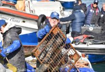 Nuova immersione per i gondolieri sub, raccolti 10 quintali di rifiuti