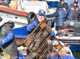 Nuova immersione per i gondolieri sub, raccolti 10 quintali di rifiuti