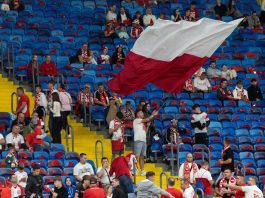 Malta, Polish fans arrested upon arrival after mid-flight disturbance