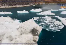 Cambiamento climatico, Mercogliano (Sic): “Il caldo la principale emergenza”